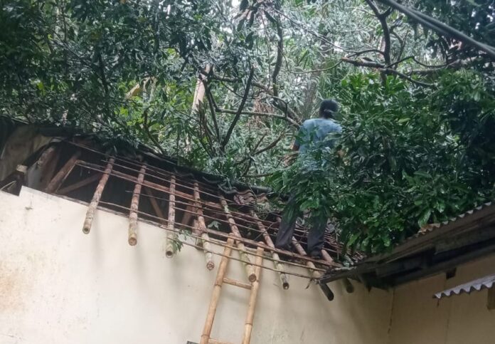 Ciamis, FOKUSJabar.id