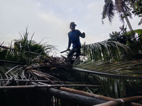 Pamarican Ciamis fokusjabar.id