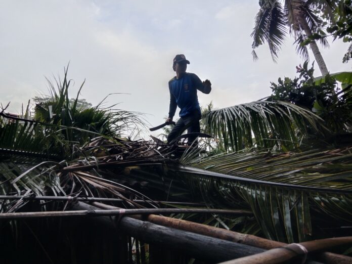 Pamarican Ciamis fokusjabar.id
