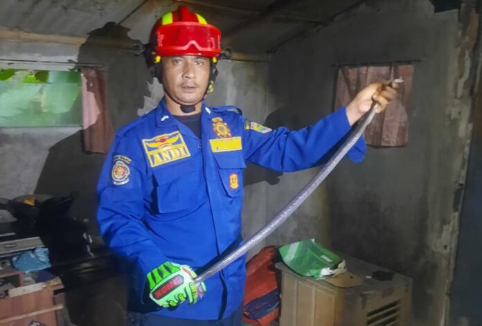 Ketpot istimewa: Personel Damkar UPTD Ciamis memperlihatkan ular kobra yang berhasil ditangkap dari dapur milim Engkar Kartini warga Kelurahan Sindangrasa Ciamis CIAMIS, FOKUSJabar.id