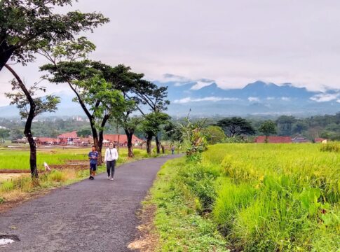 ciamis@fokusjabar.id