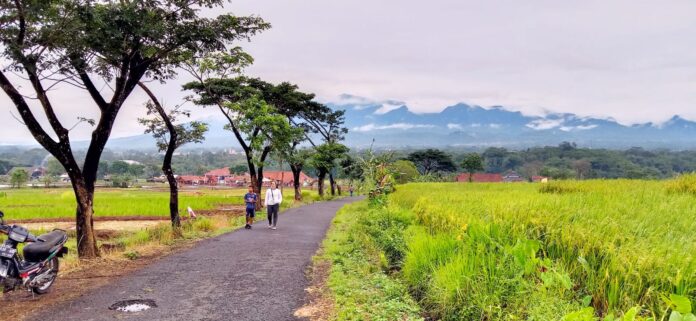 ciamis@fokusjabar.id