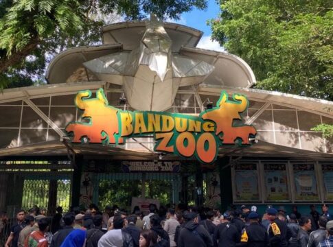 Kebun Binatang Bandung fokusjabar.id