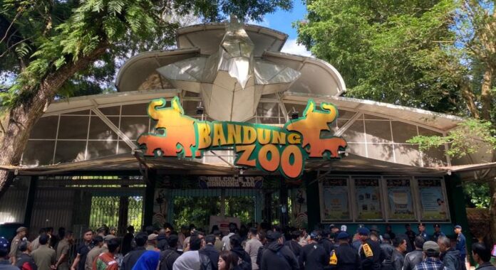 cdf2c265-af7b-4856-944b-16fb465abae6 Kebun Binatang Bandung fokusjabar.id