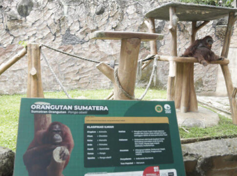 Satwa Kebun Binatang Bandung fokusjabar.id