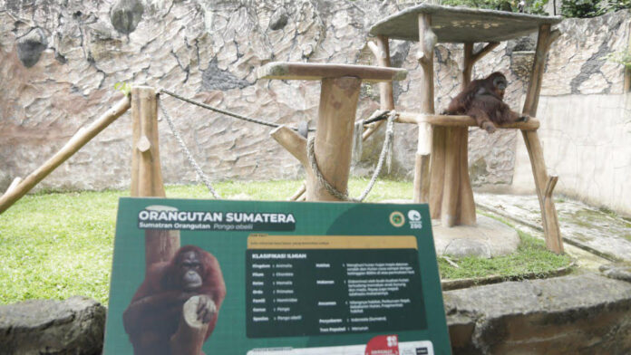 unnamed (27) Satwa Kebun Binatang Bandung fokusjabar.id