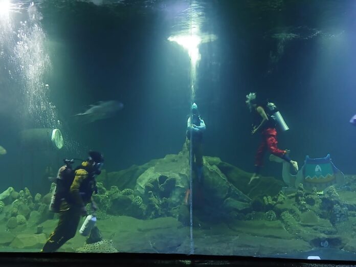 Pangandaran, FOKUSJabar.id