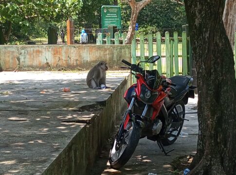 Pangandaran@fokusjabar.id