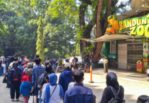 Bandung, FOKUSJabar.id