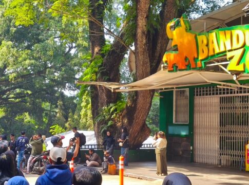 Kebun Binatang Bandung fokusjabar.id