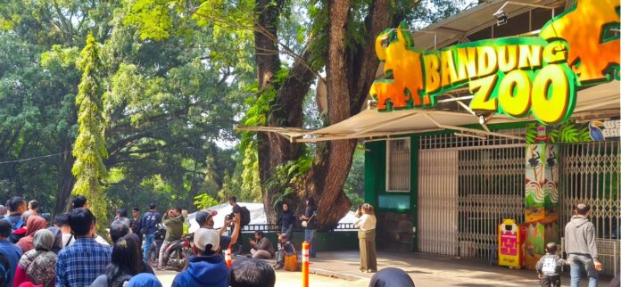 Kebun Binatang Bandung fokusjabar.id