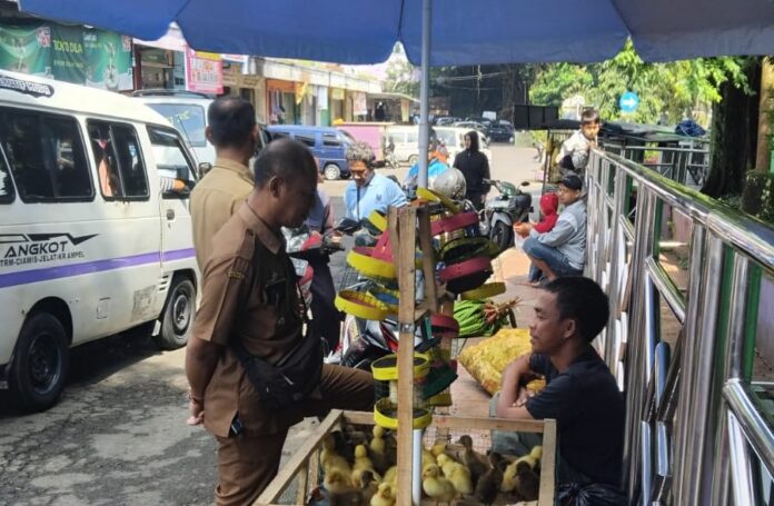 Ketpot: Ka UPTD Pasar Manis Ciamis Dana Sudiana saat melakukan monitoring harga sembako CIAMIS, FOKUSJabar.id