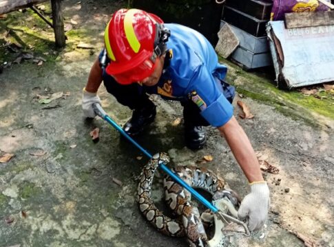 CIAMIS,FOKUSJabar.id