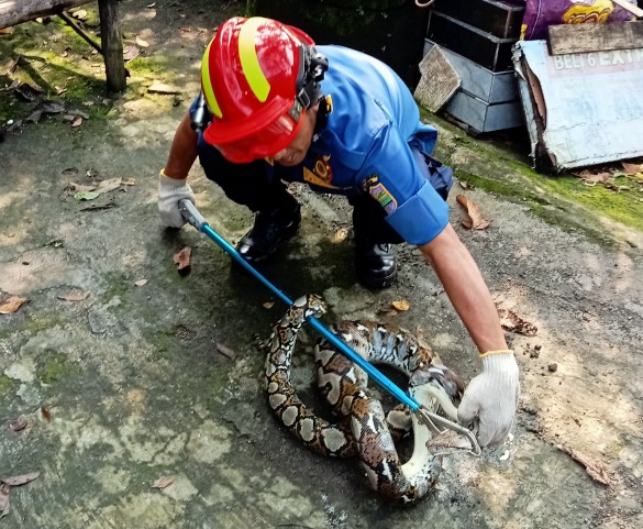 CIAMIS,FOKUSJabar.id