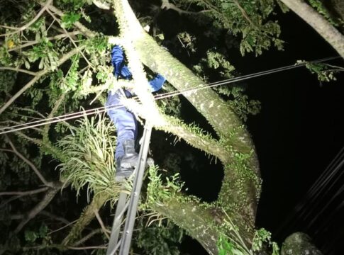 Damkar UPTD Ciamis fokusjbar.id