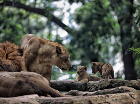 Bandung, FOKUSJabar.id
