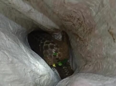 CIAMIS, FOKUSJabar.id