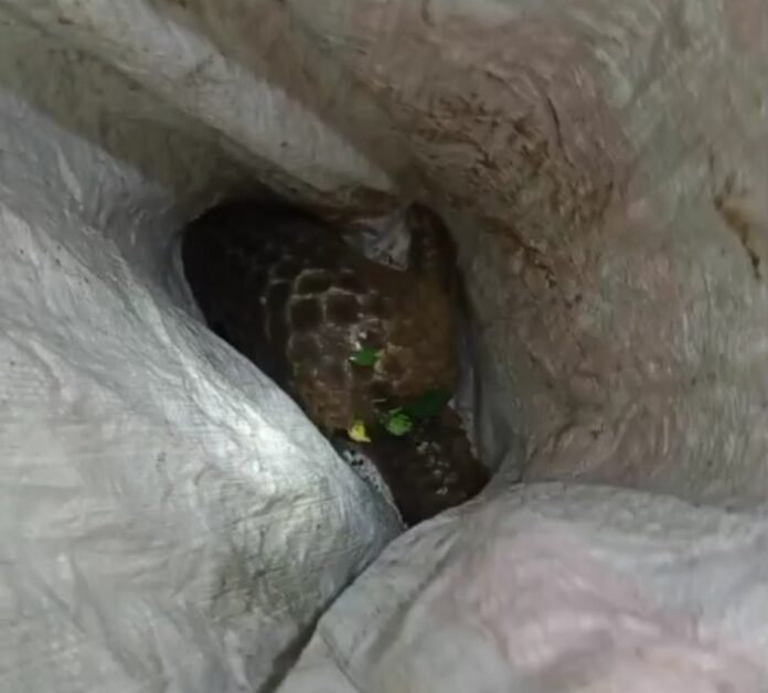 CIAMIS, FOKUSJabar.id