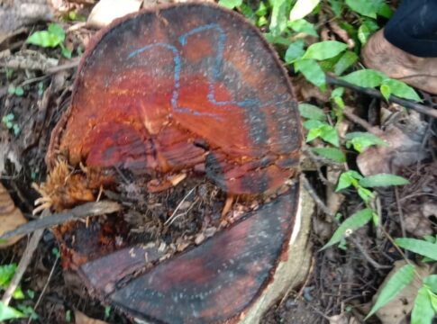 Pangandaran, FOKUSjabar.id