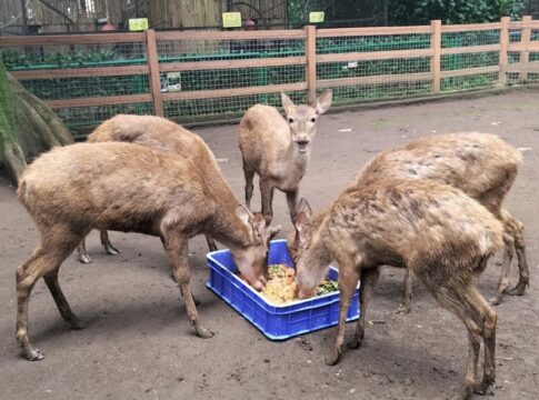 Bandung, FOKUSJabar.id