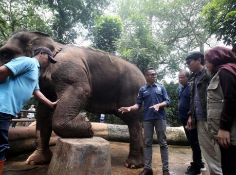 Bandung, FOKUSJabar.id
