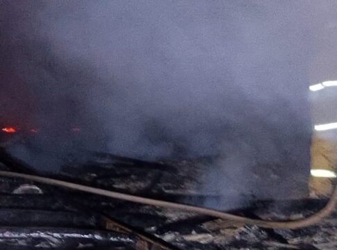 Kandang ayam fokusjabar.id