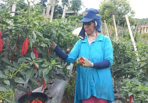 Banjar@fokusjabar.id