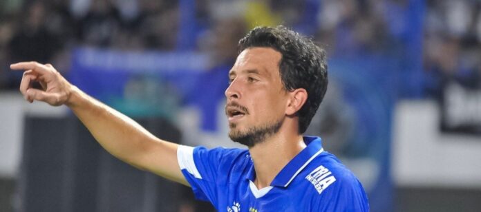 Thom Haye Persib Bandung fokusjabar.id