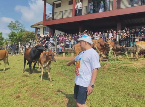 Ciamis@fokusjabar.id