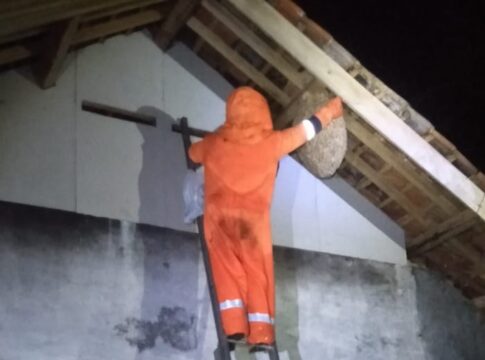 Ciamis, FOKUSJabar.id