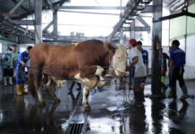 Bandung, FOKUSjabar.id