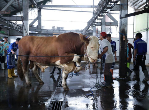 Bandung, FOKUSjabar.id