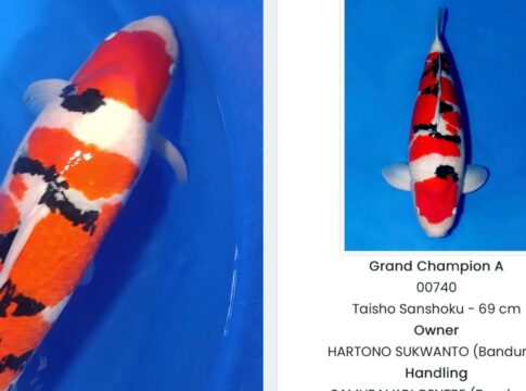 hartono soekwanto fokusjabar.id