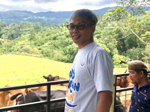 Sapi Pasundan Ciamis fokusjabar.id