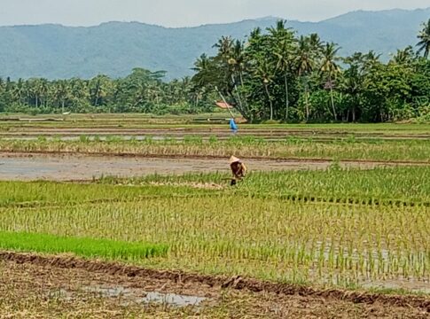 Pangandaran@fokusjabar.id