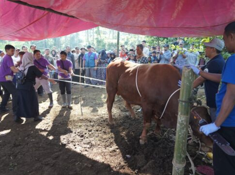 Bupati Garut hewan kurban fokusjabar.id
