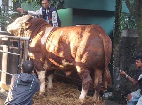 Hewan Kurban Bandung fokusjabar.id