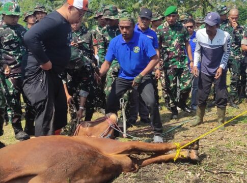 Tasikmalaya Kurban fokusjabar.id