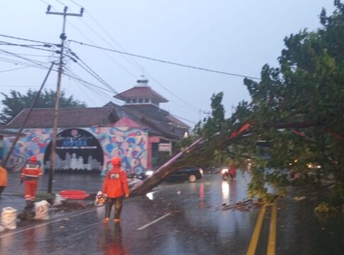Pemotor Ciamis fokusjabar.id