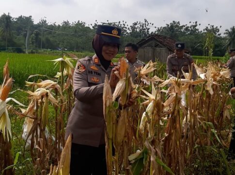 CIAMIS, FOKUSJabar.id
