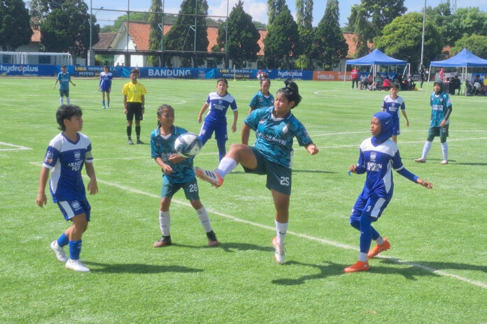 Persib@fokusjabar.id