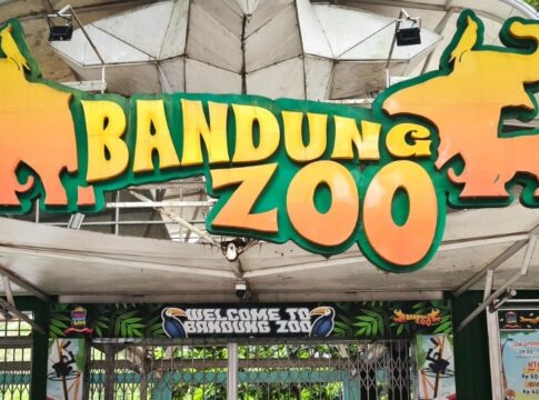 Pegelolaan Bandung Zoo fokusjabar.id