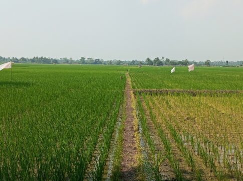 Pangandaran@fokusjabar.id