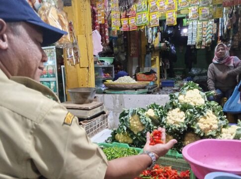 cabai merah ciamis fokusjabar.id