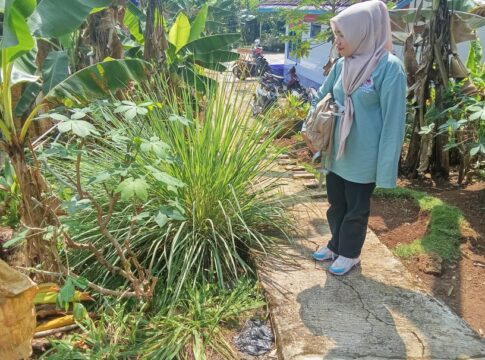 CIAMIS, FOKUSJabar.id