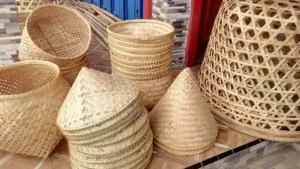 Jagung Garut Utara fokusjabar.id