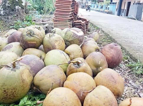 Pangandaran, FOKUSJabar.id