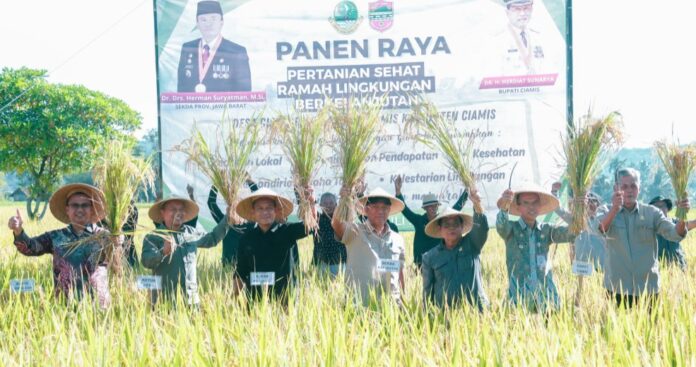CIAMIS, FOKUSJabar.id