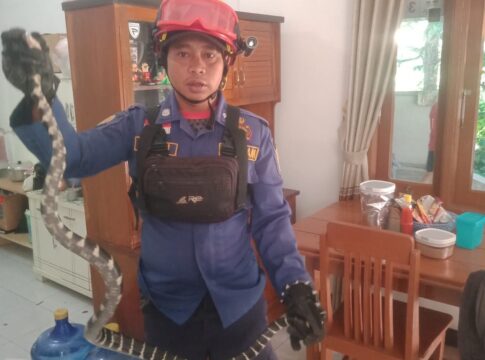 damkar banjarsari ciamis fokusjabar.id