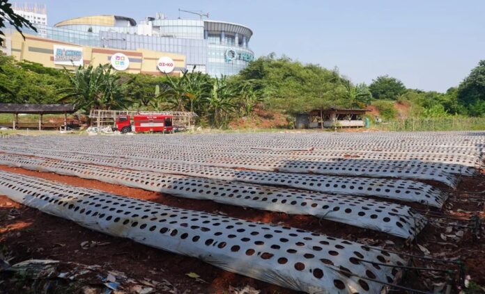 Lahan urban farming yang dikelola Kodim 0508/Depok di depan Mal Pesona Square, Jalan Ir. Juanda, Kecamatan Sukmajay. Sumber Gambar: depok.go.id DEPOK, FOKUSJabar.id